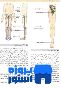 دانلود رایگان کتاب "اناتومی گری به زبان فارسی"