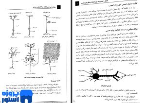 PDF کتاب روان شناسی فیزیولوژیک انگیزش و هیجان 