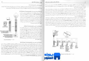 پی دی اف زیست شناسی سلولی و مولکولی و مهندسی ژنتیک