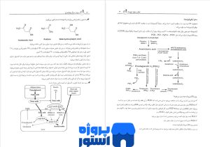 جزوه بیوشیمی مرد سلطانی